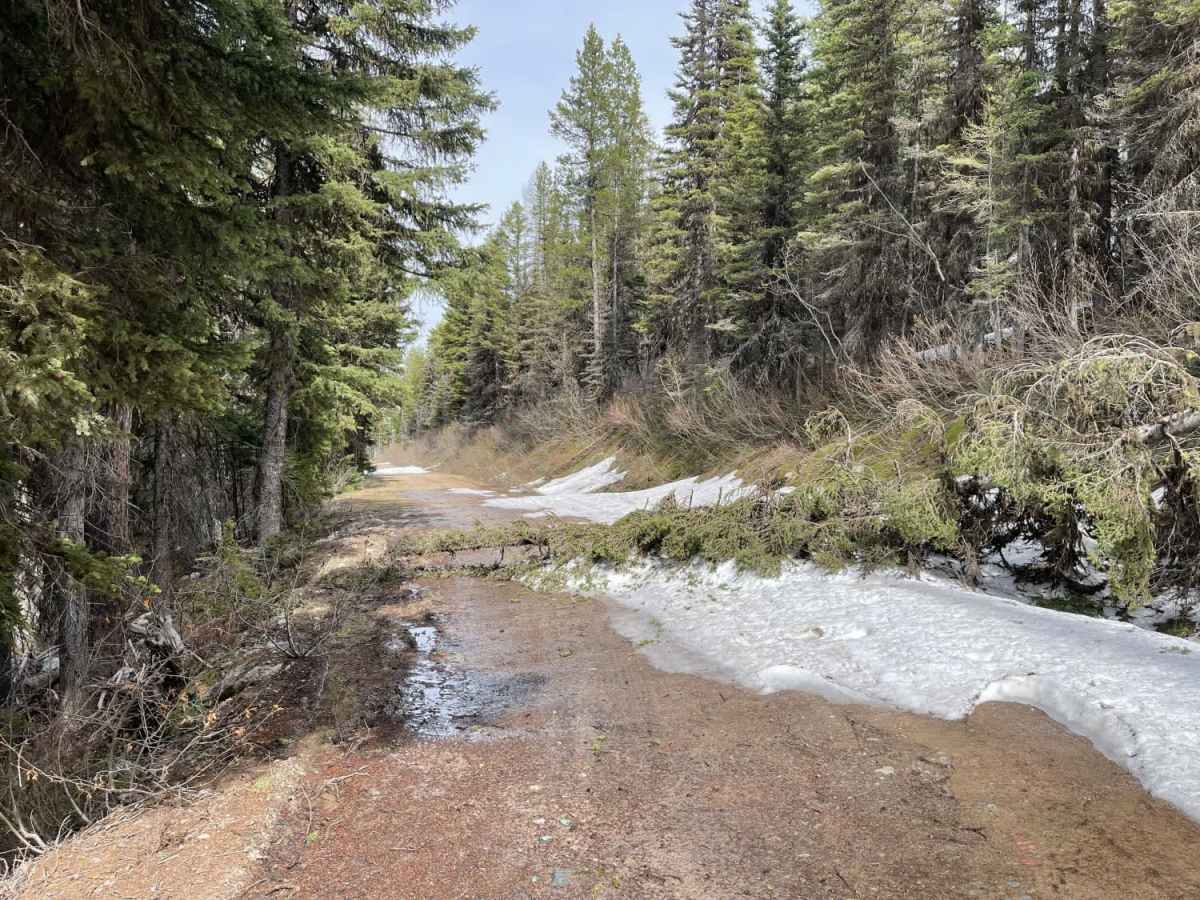 Lindbergh to Meadow and Bunyan Lake photo 2