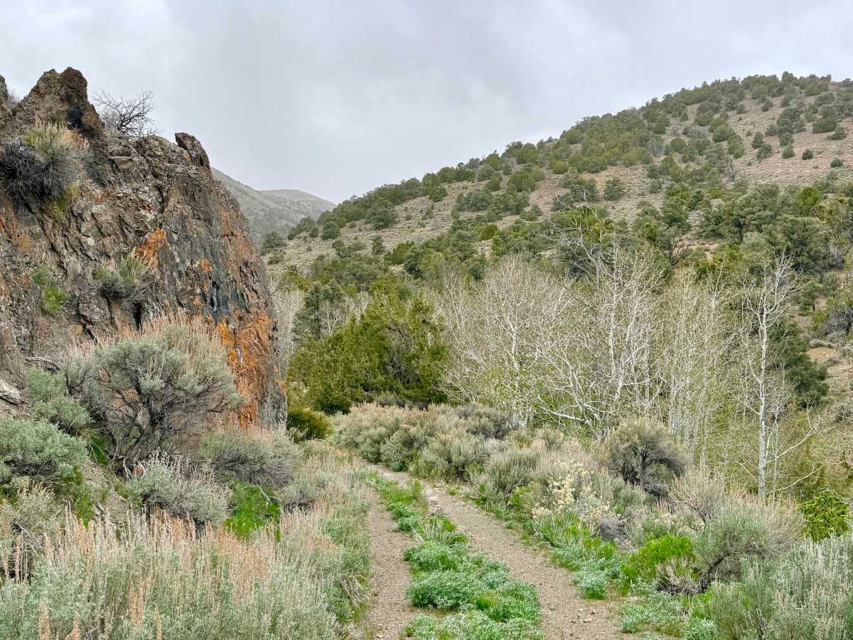Lowboy Mine - FS 43251 photo 2