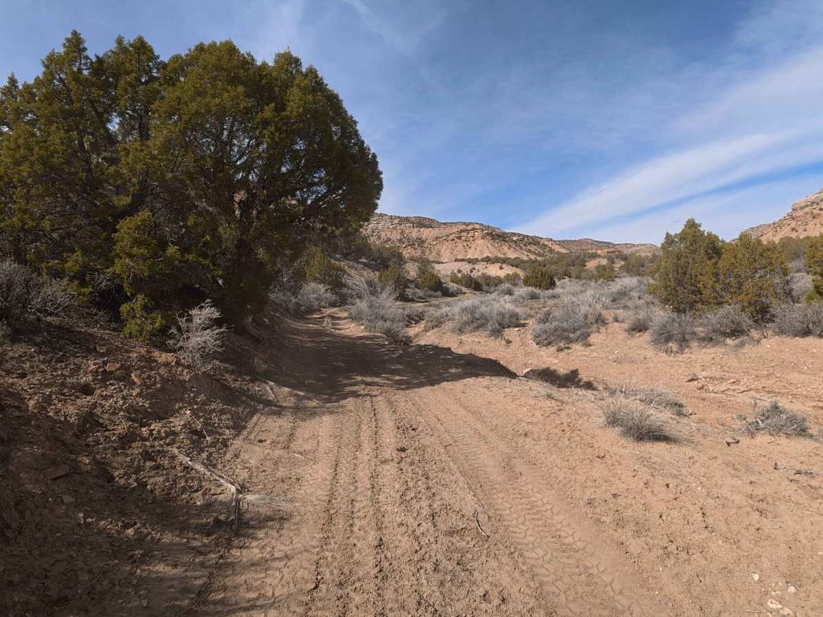 BLM 129 photo 3