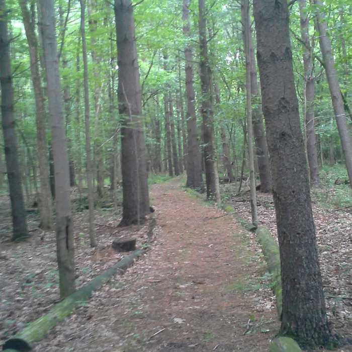 One of the smoother sections of the trail. Near Valley Trail