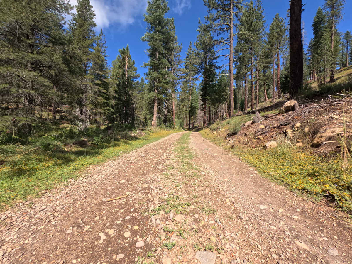 Jackass Point Spur - FS 01-003 photo 2