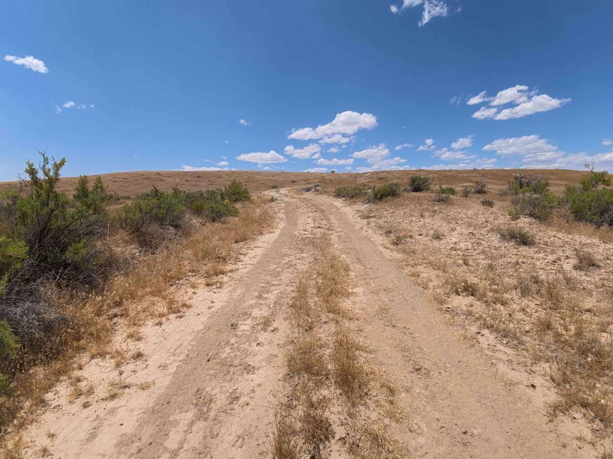 Bureau of Land Managment 121 trail photo