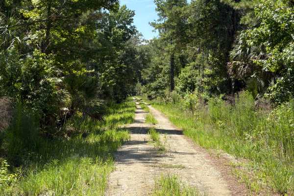 Marsh Road