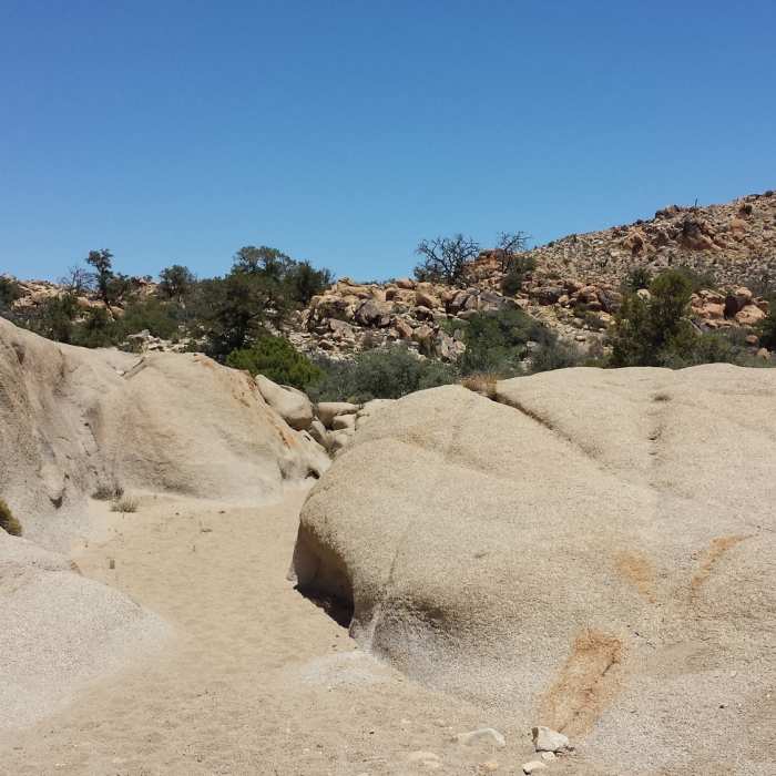 Near Lucky Boy Vista