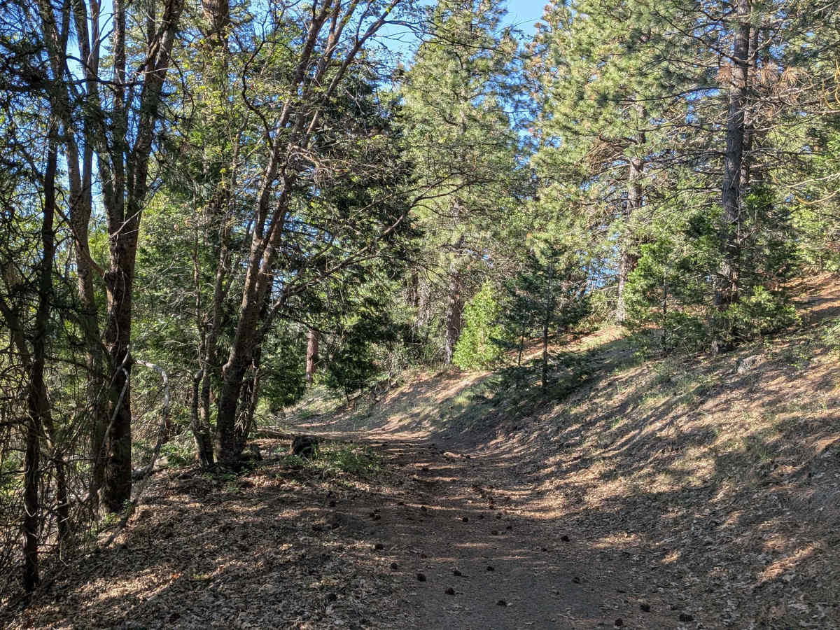 Greenhorn Mountain West - FS 26S01 photo 5