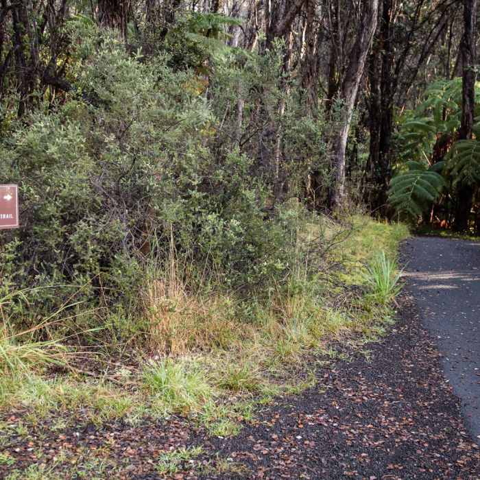 Near Devastation Trail Near Devastation Trail
