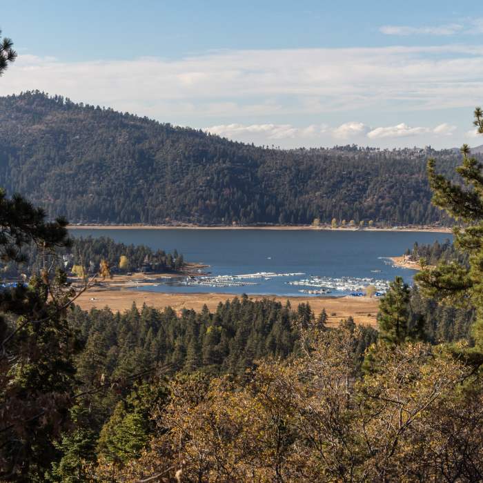 Near Pine Knot Trail 1E01