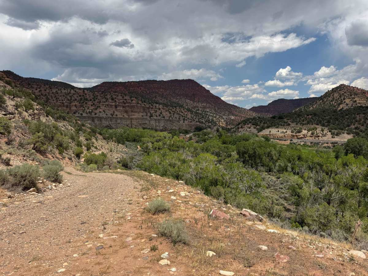 BLM 8457D photo 3