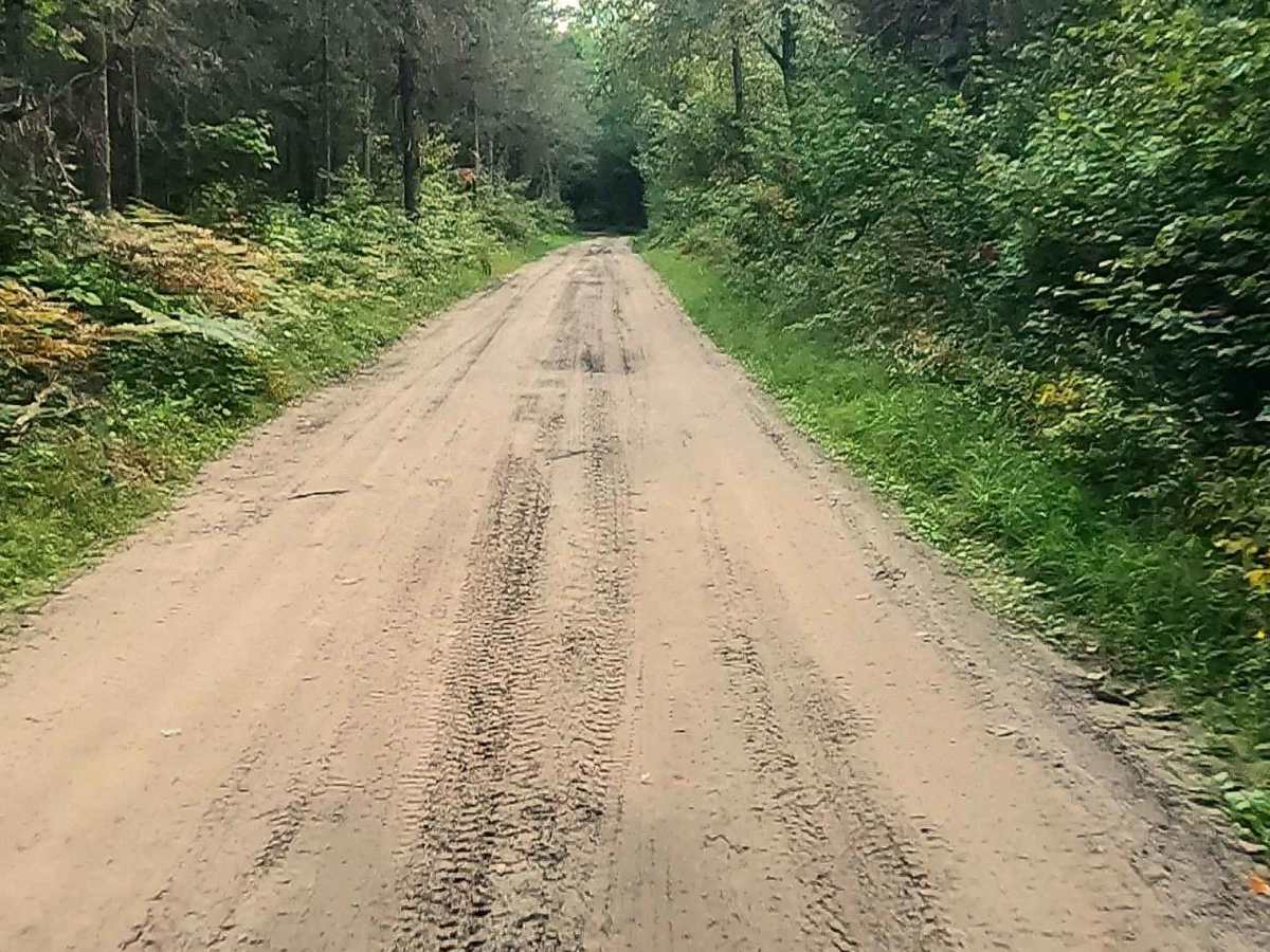 Pine River Truck Trail - FS 3137 photo 5