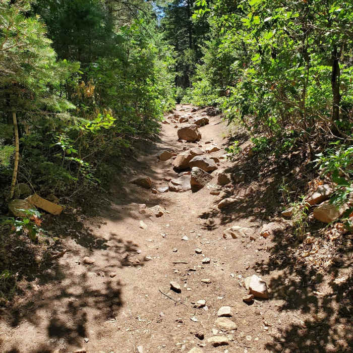 Near Newlin Creek Trail