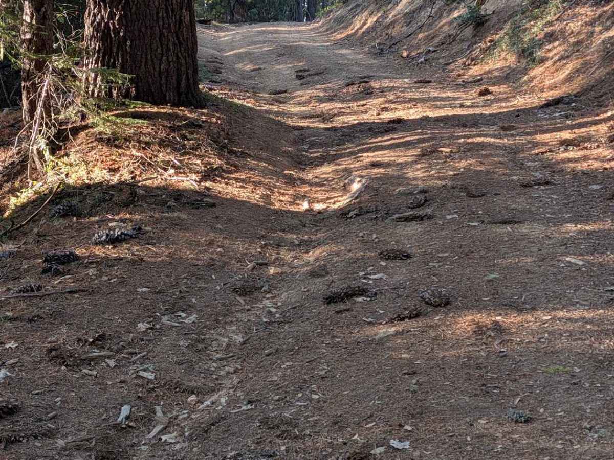 Bear Wallow Meadow Road - FS 1N14 photo 2