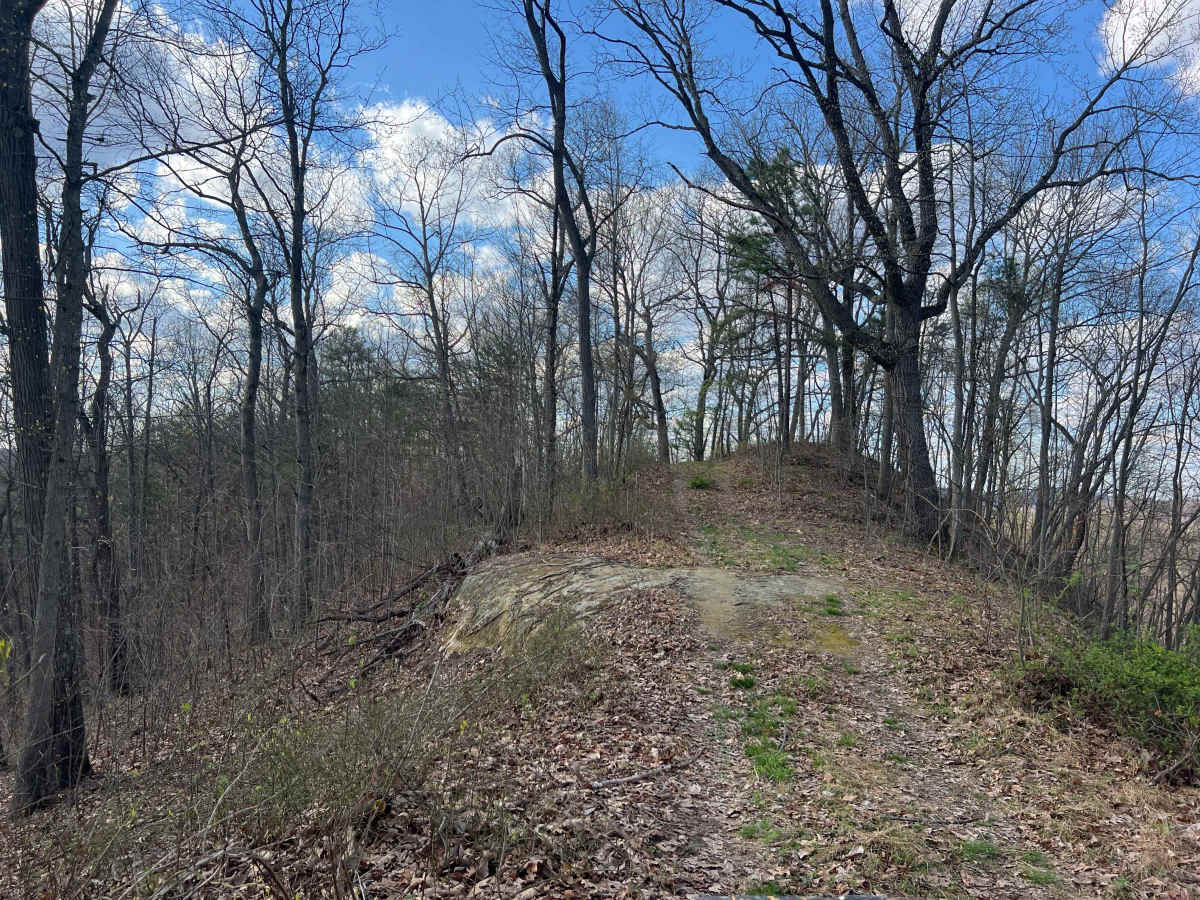 Q54 trail photo