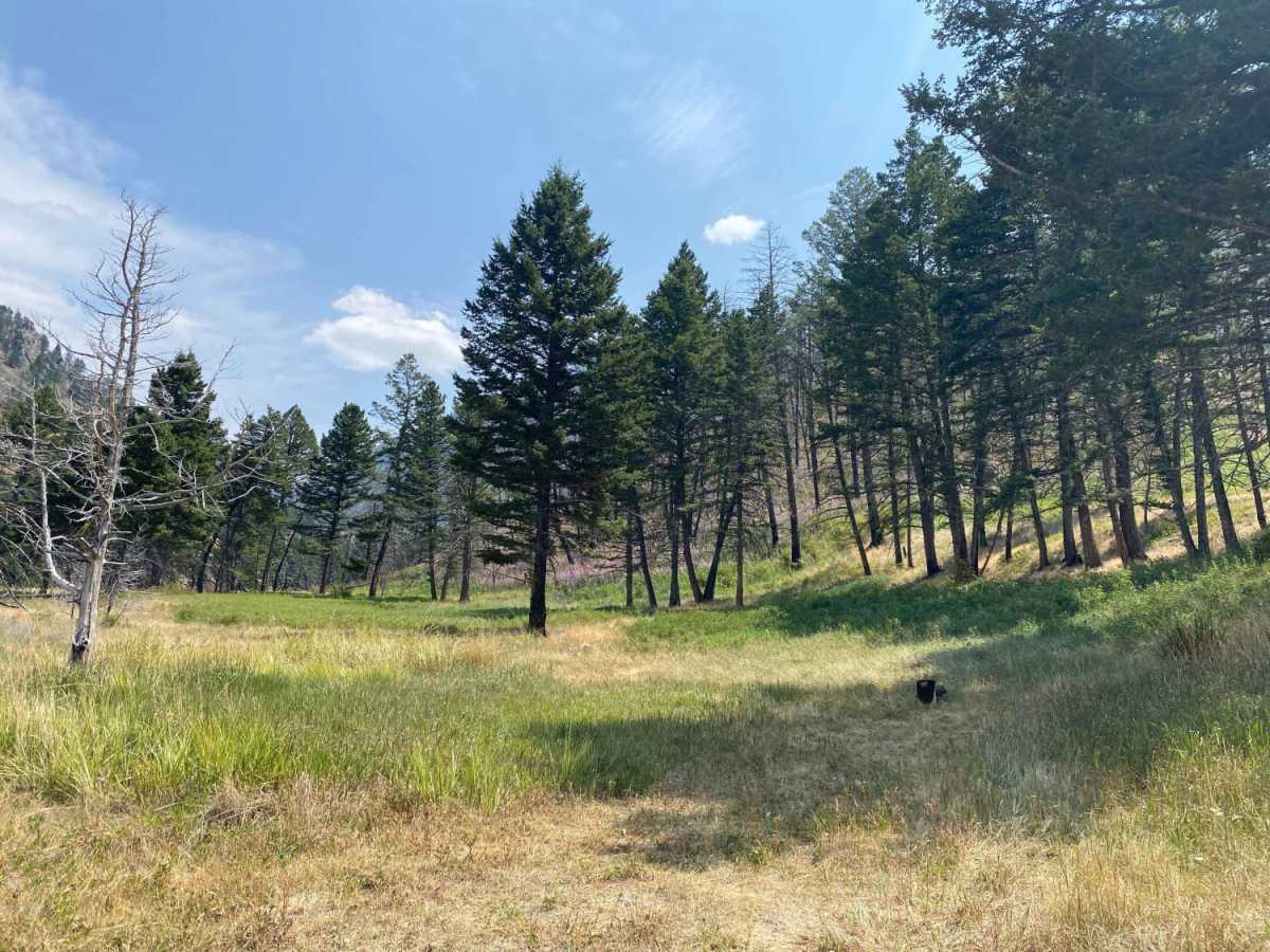 Sixmile Creek Road photo 4