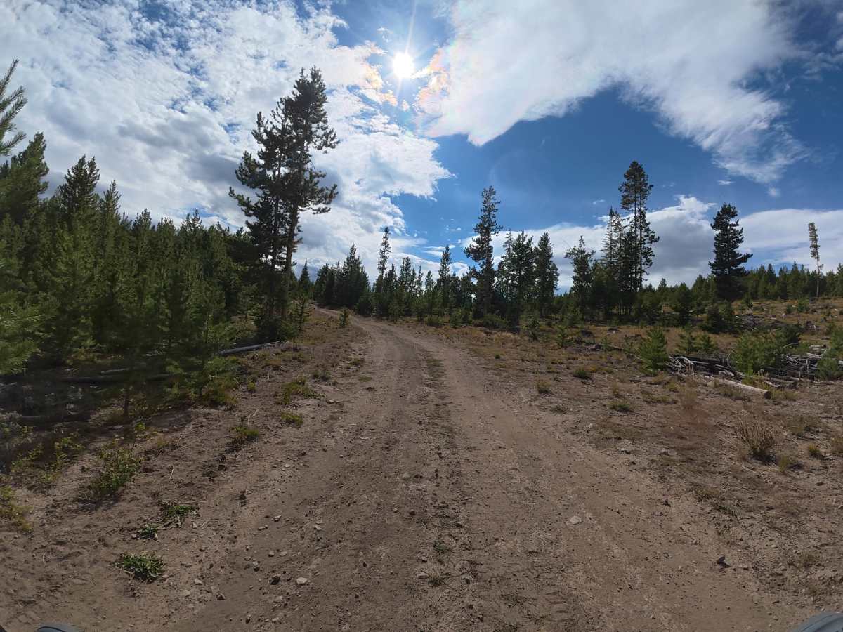 Finger Lake trail photo