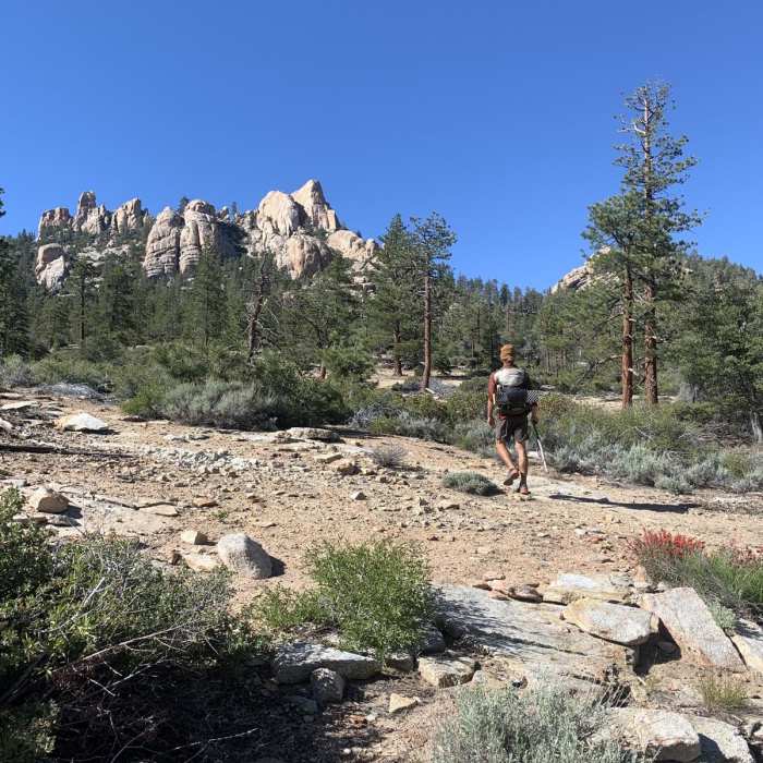 Near Woodpecker Trail Near Woodpecker Trail