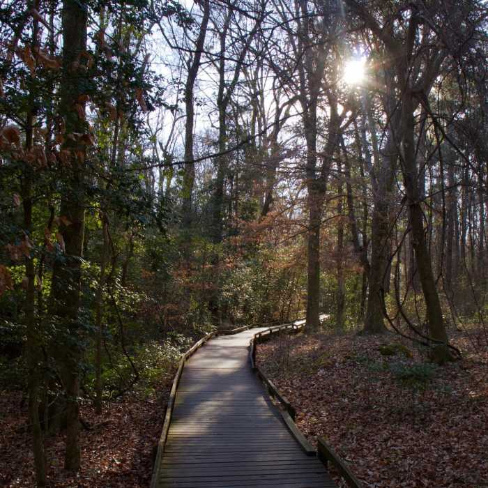 Near Boardwalk Loop Trail