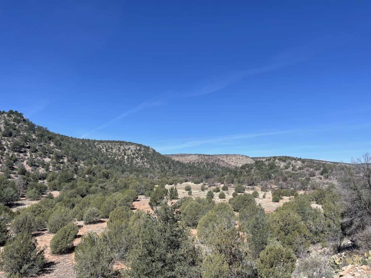Bullock Trail photo 5