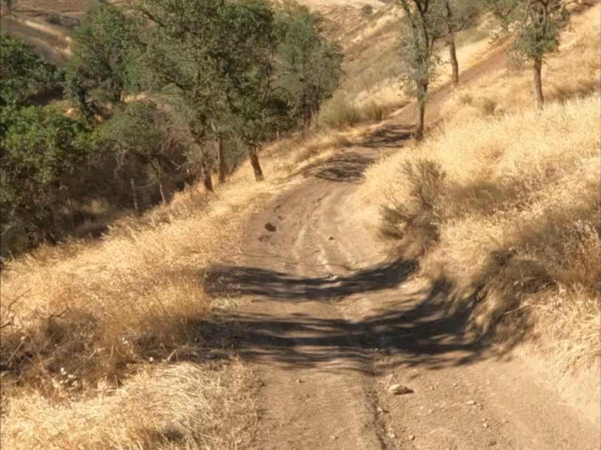 Red Trail photo 3