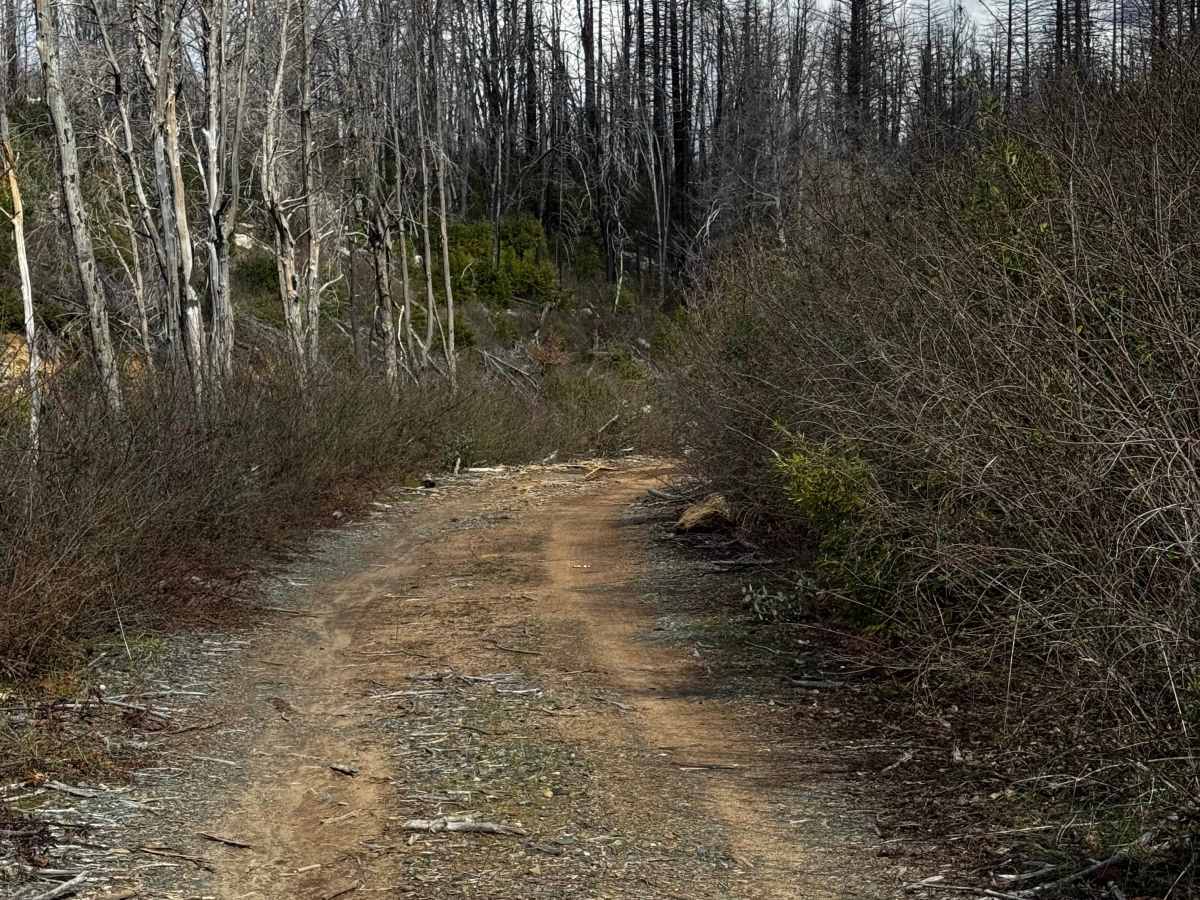 Martin Creek photo 2
