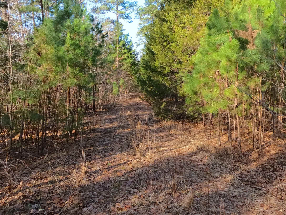 Duffy's Hollow Spur A - FS 419A  photo 2