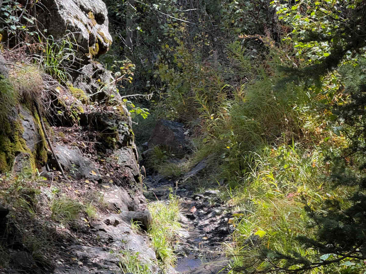 Bear Gulch Trail - FS 610  trail photo