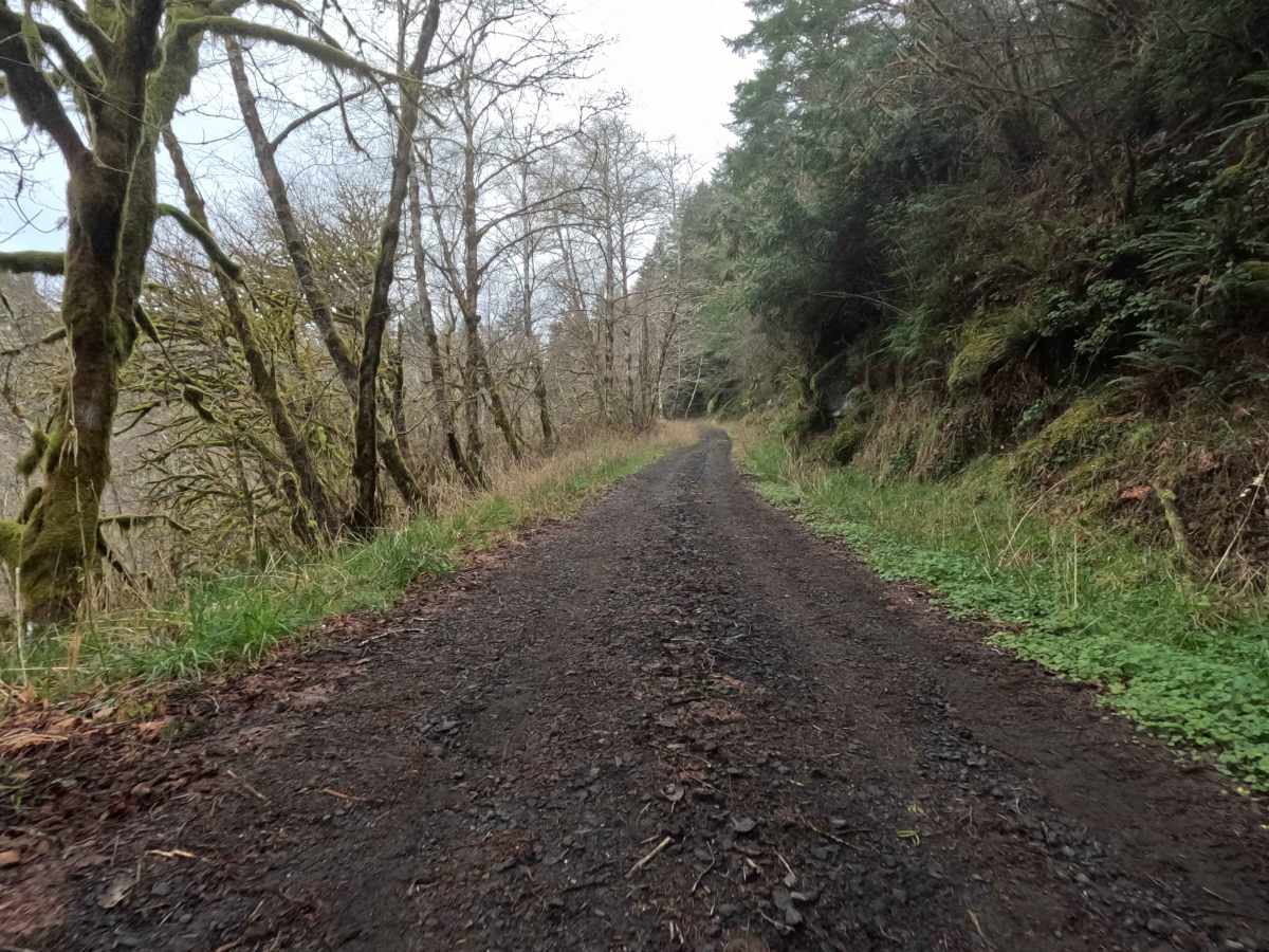 Tenmile Butte Road - 3500 photo 4