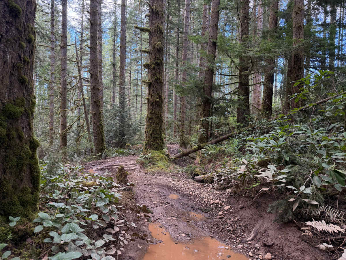 Mission Creek photo 4
