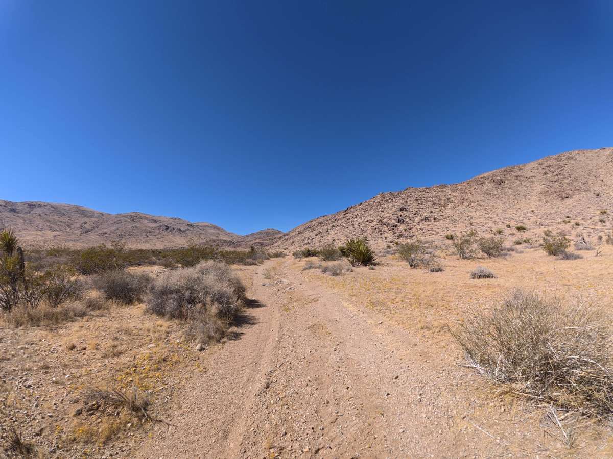 BLM SV2674 photo 3