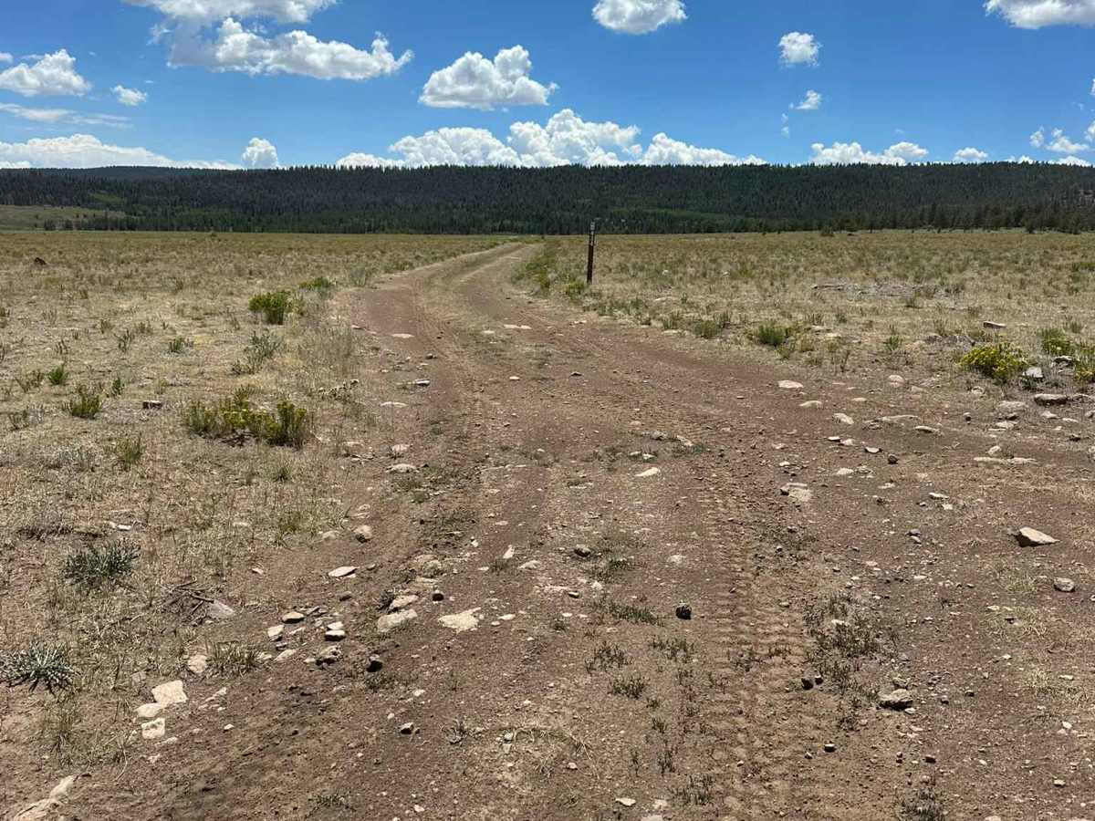 Arrowhead Road trail photo