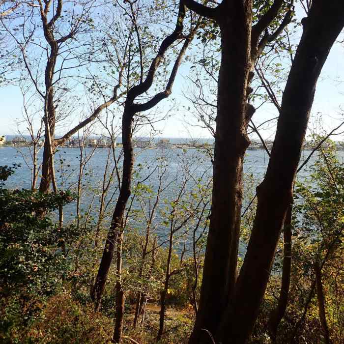 View of Shrewsbury River with Sea Bright and the Atlantic Ocean in the distance Near Rocky Point Trail