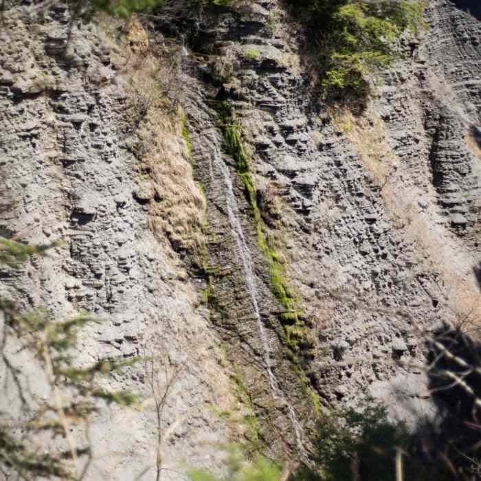 Near Whetstone Gulf Rim Trail Near Whetstone Gulf Rim Trail