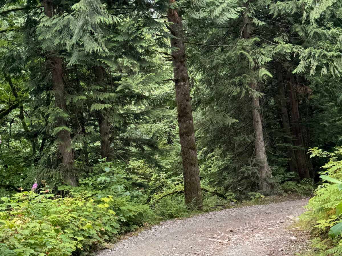 Francis Lake photo 5