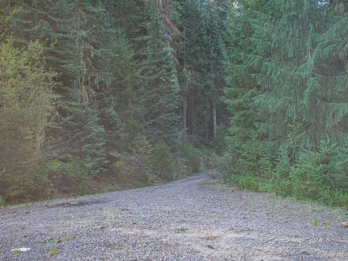 Lost Creek Loop photo 4