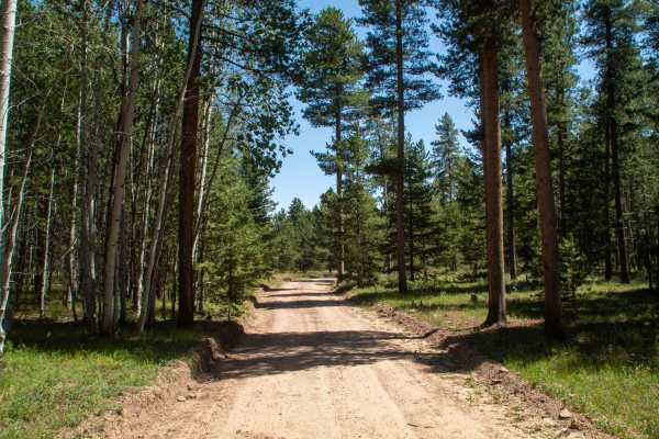 Charleys Park - FS 10234