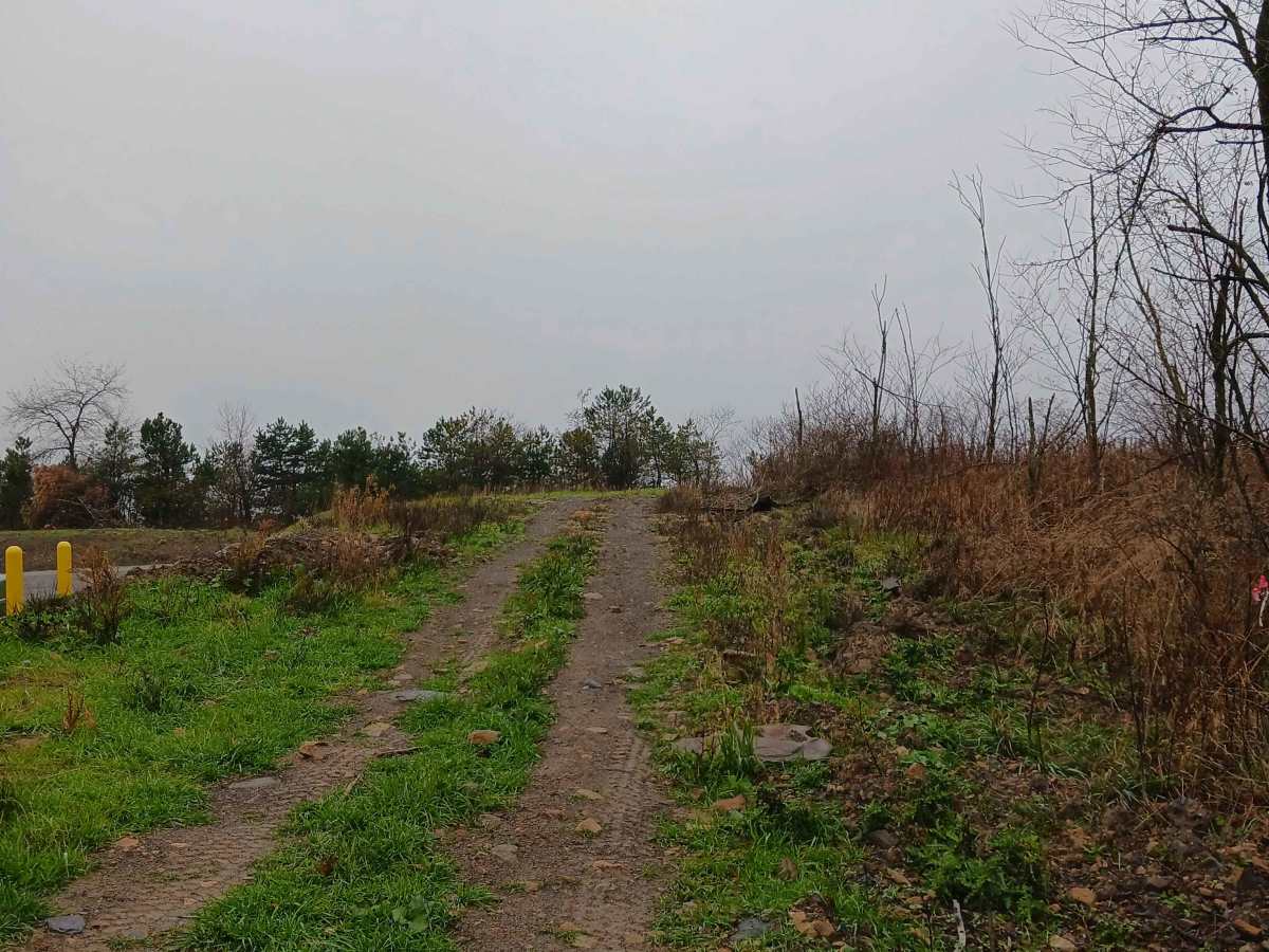 Raptor Path - The OG - Rock Run Recreation Area photo 6