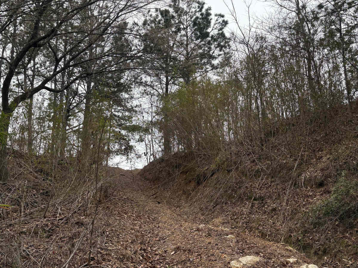 Mountain Road photo 5