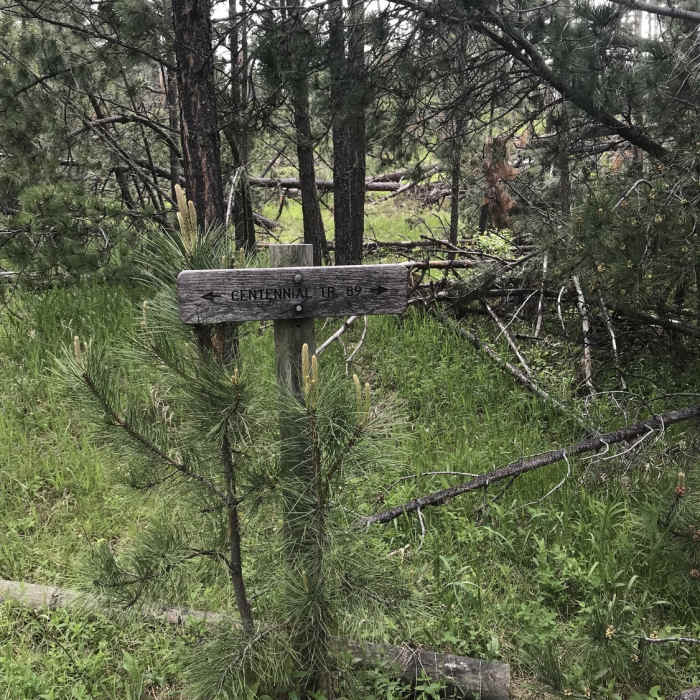 Trail marker. Near Centennial On Hell #89-HC