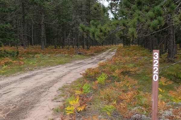 Grouse Track - FSR 3220