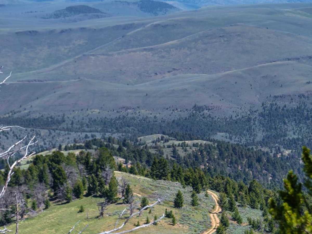 Barton Gulch photo 4