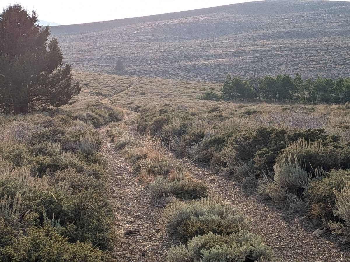 Dog Creek Loop trail photo