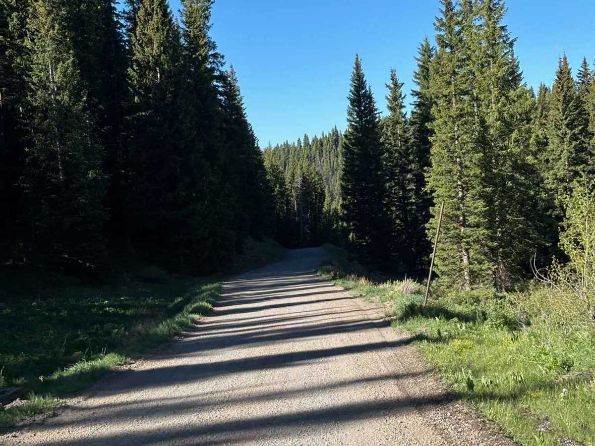 Meadow Lake Road photo 4