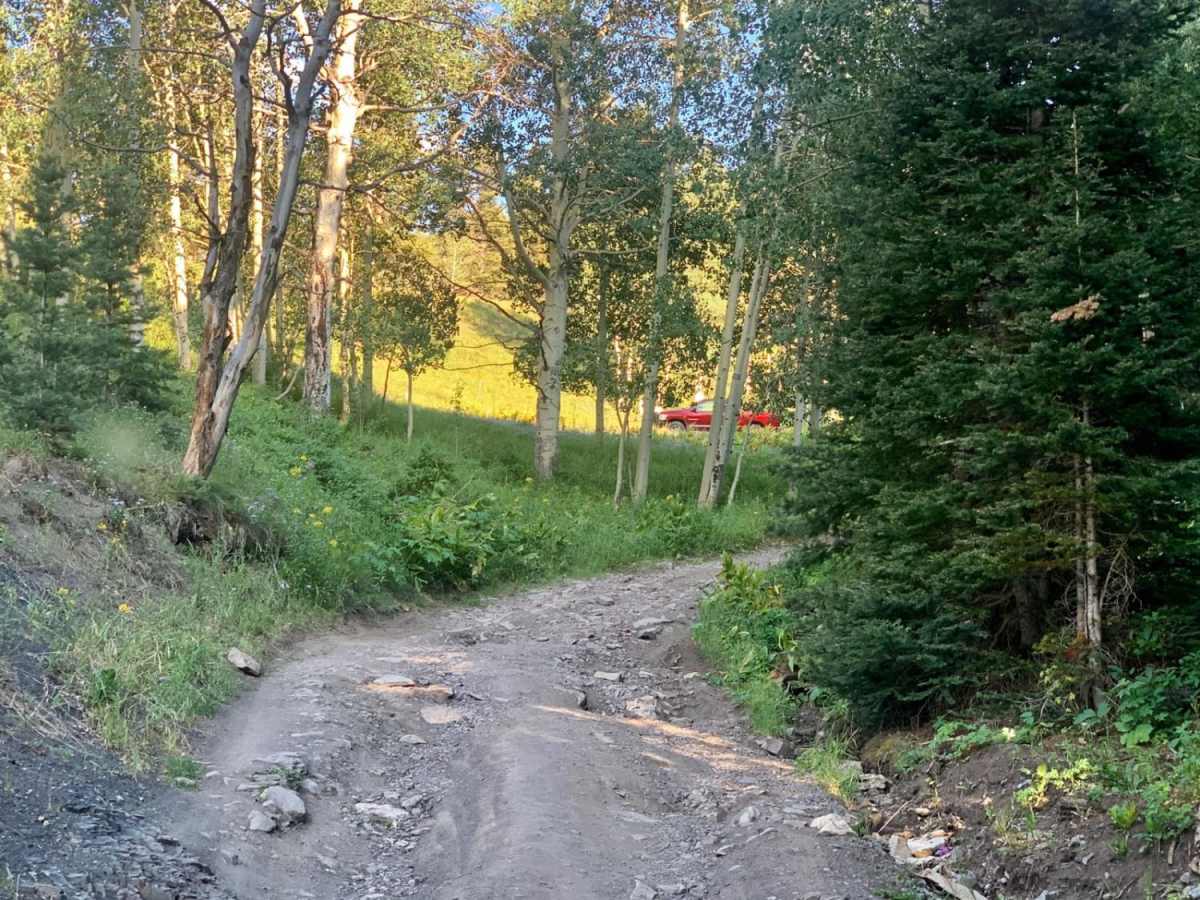 Cty Rd 14. - Dexter Creek Rd photo 4