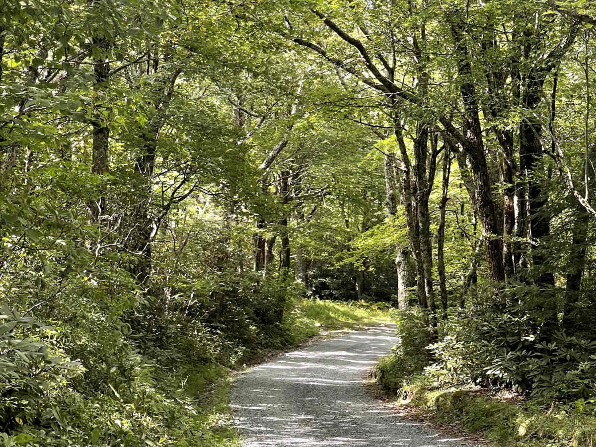 Carroll Gragg Road photo 3