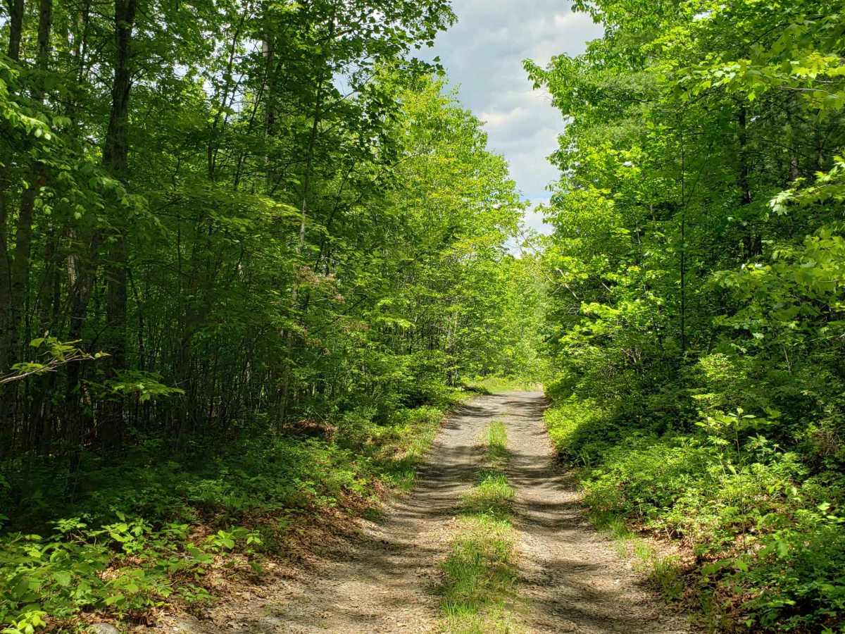 Little North Mountain WMA photo 3