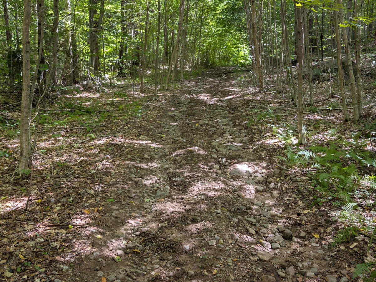 Grass River Trail Connector  photo 3
