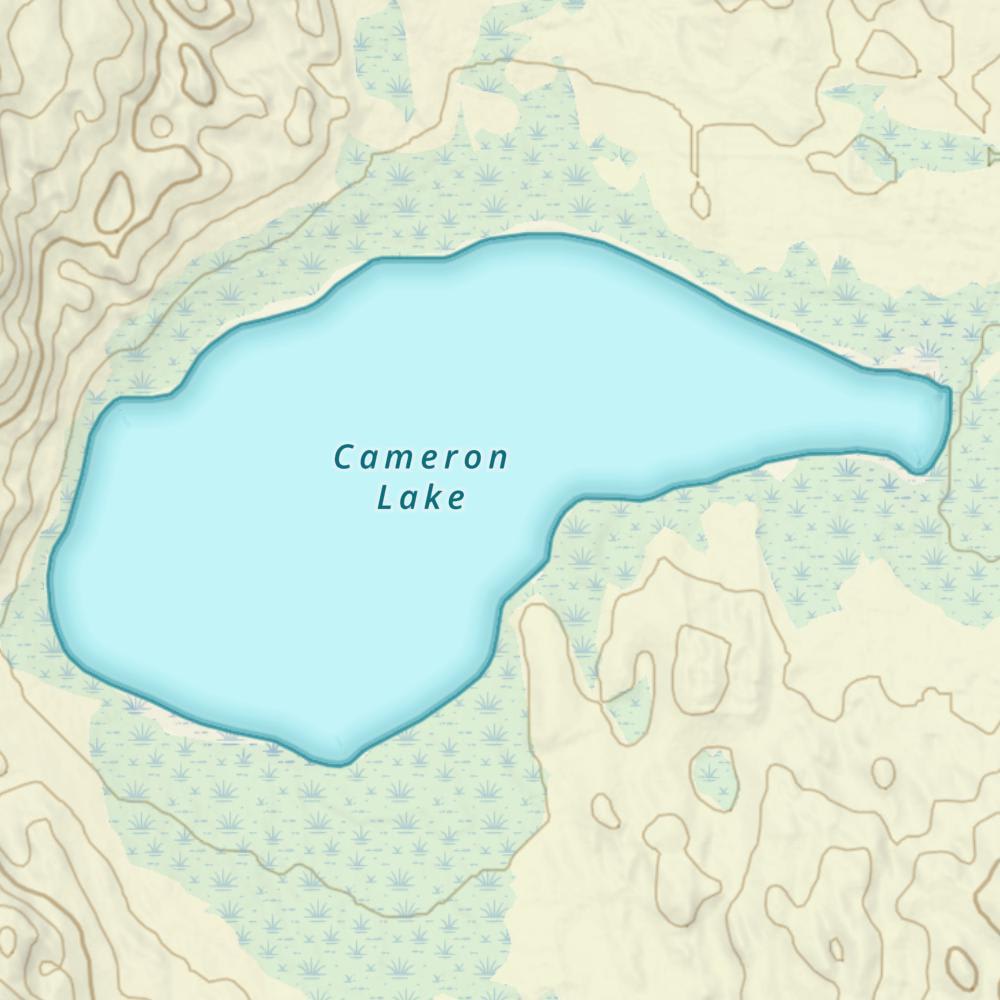 Cameron Lake photo