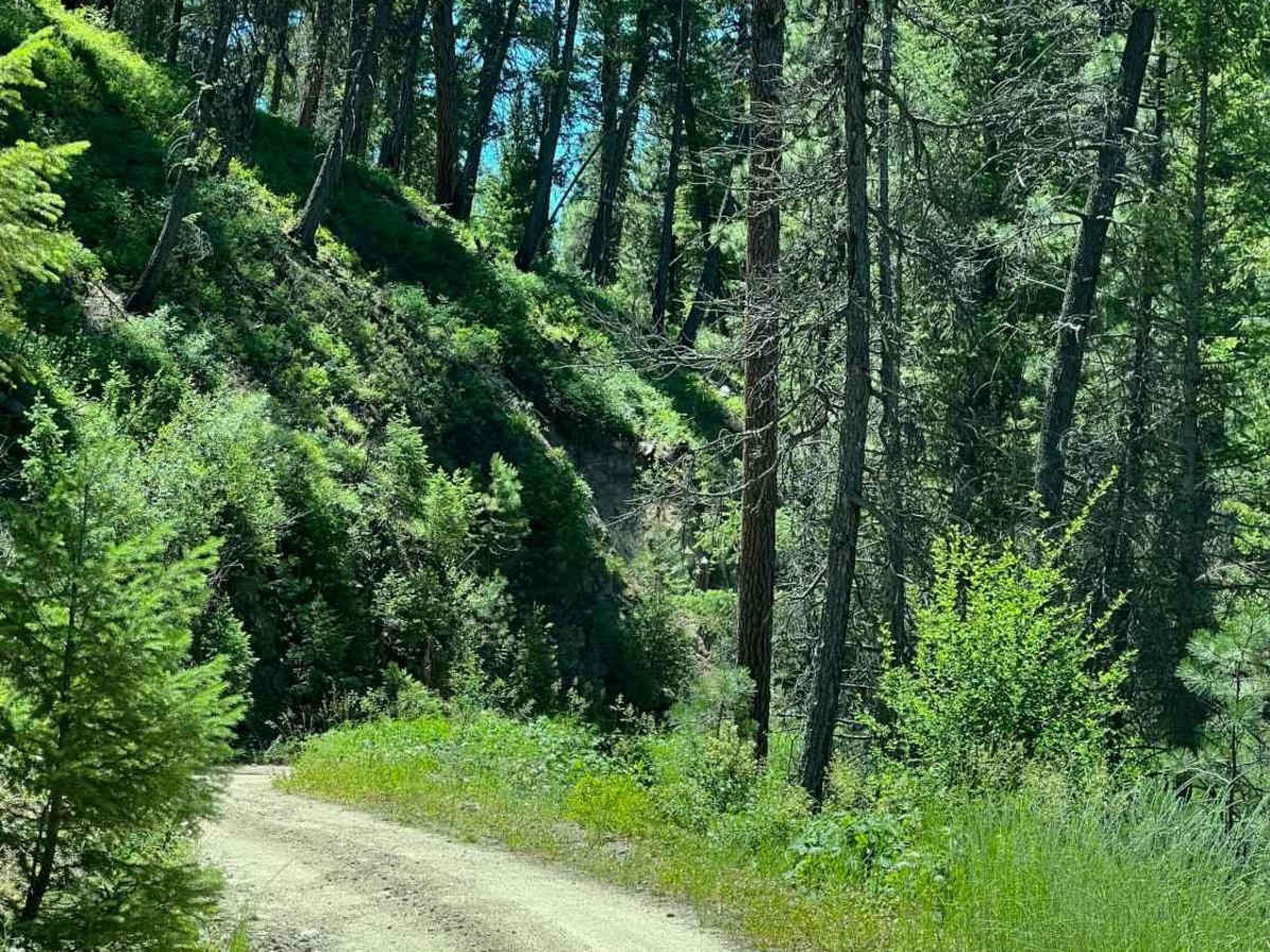 Rock Creek photo 2