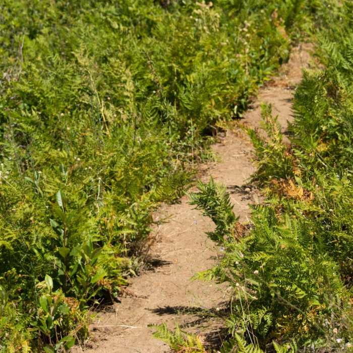 Near Silvercrest Trail