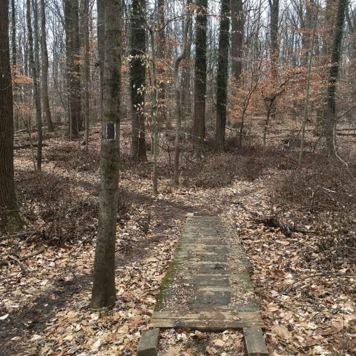 Near Belmont Trail
