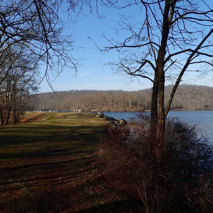 Near Halfway Mountain Loop